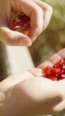 Genç kadın nar tohumlarını temizler ve onları avucunun içinden yer. Denizin arka planında, dikey video sosyal medya