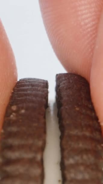 Aku Mencelupkan Kue Chocolate Chip Dengan Krim Susu Dalam Susu — Stok Video