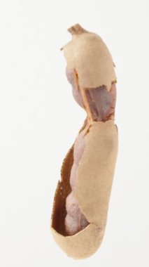 Demirhindi meyvesi yarı soyulmuş, beyaz arka planda dönüyor, yakın plan. Dikey video Sosyal Ortamı