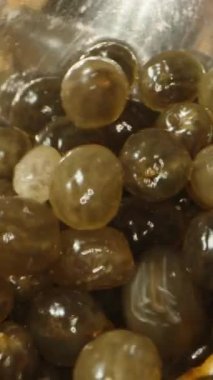 Tohumları papaya kaşığıyla temizliyorum, mavi gökyüzüne karşı. Dolly Slider aşırı yakın çekim. Dikey video Sosyal Ortamı