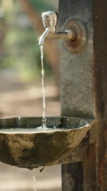 Ormanda içme suyu olan bir musluk. Altındaki kaseye su dökülüyor. Yavaş çekim Dikey video Sosyal Ortamı