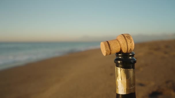 Deniz Kıyısındaki Sahilde Bir Şişe Şampanya Boynunda Bir Mantar Var — Stok video