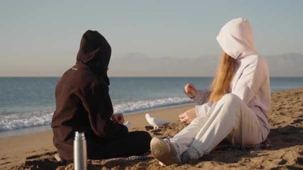 Пара Чоловік Жінка Светрі Сидять Пляжі Біля Моря Тлі Гір — стокове відео