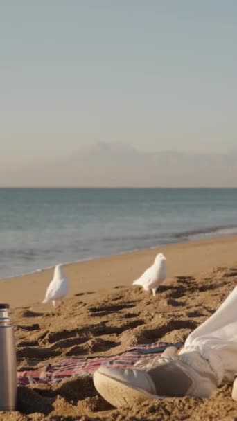 Deniz Kenarında Serin Bir Sabah Beyaz Kapüşonlu Genç Bir Kadın — Stok video
