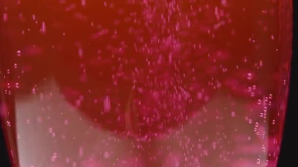 Бросаю Сахарную Вату Шампанское Пузырится Растворяется Макро Выстрел — стоковое видео
