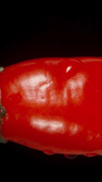 辛辣红辣椒 有水滴 在黑色背景上分离 宏观滑动 垂直视频社交媒体 — 图库视频影像