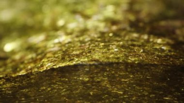 Sushi için kurutulmuş Nori Seaweed Çarşafları, yaprakların arasında bir yer. Dolly kaydırıcı aşırı yakın çekim.