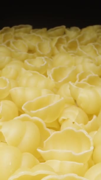 Pasta Seca Gnocchetti Gira Uniformemente Esparcida Plato Sobre Fondo Negro — Vídeos de Stock