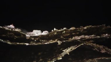 Sushi için kuru ince nori yaprakları, siyah arka planda, yakın plan. Yan görünüş, kenar dokusu. Dolly kaydırıcı aşırı yakın çekim.