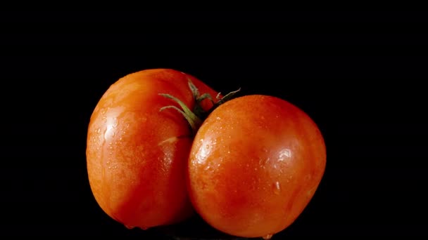 Połączył Dwa Duże Pomidory Jeden Obraca Się Czarnym Tle — Wideo stockowe