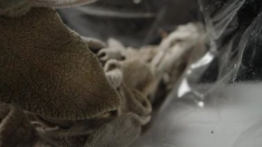 Küçük şeffaf bir torba içinde, kurutulmuş çimenler, çay için nane yaprakları. Dolly makro kaydırıcı.