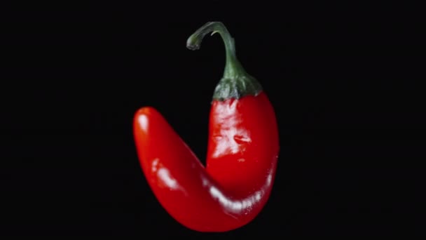 Κόκκινη Καυτερή Πιπεριά Τσίλι Περιστρεφόμενη Μαύρο Φόντο Looped Και Απομονωμένη — Αρχείο Βίντεο