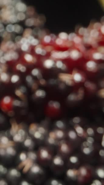 Plucked Mulberry Berries Black Background Dolly Slider Extreme Close Vertical — Stock Video