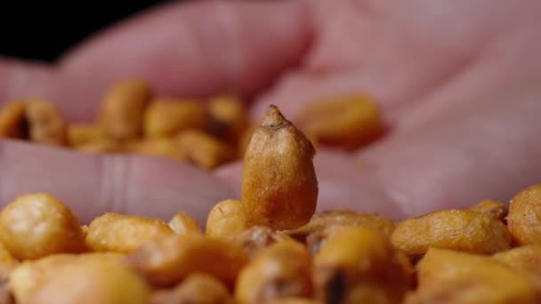 乾燥したトウモロコシの一粒が回転し 私はテーブルに少数の穀物を注ぐ スローモーション — ストック動画