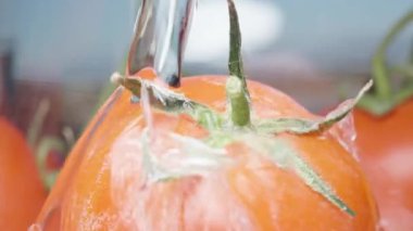 Küçük bir domatesin üzerine bir su akıntısı dökülüyor. Yakın çekim, yavaş çekim