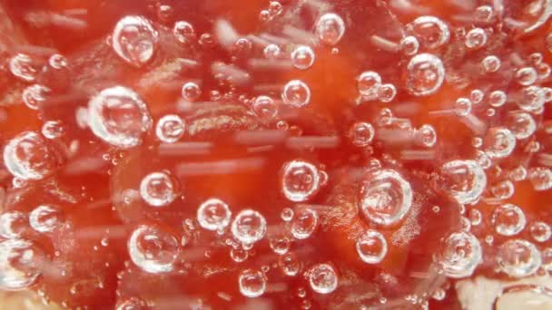 空気泡のポメグラネート種子 気泡はそれらに固執する マクロ マクロ — ストック動画