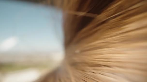 Rambut Cokelat Kepala Seorang Wanita Longsoran Makro — Stok Video