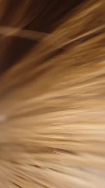 カメラは女性の頭の上を滑っている ブラウンヘアマクロ 垂直ビデオ ソーシャルメディア — ストック動画