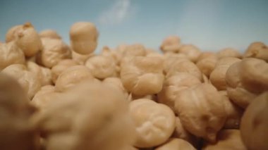 Üzerine bir avuç nohut serpilmiş. Mavi gökyüzüne karşı. Dolly kaydırıcı aşırı yakın çekim.