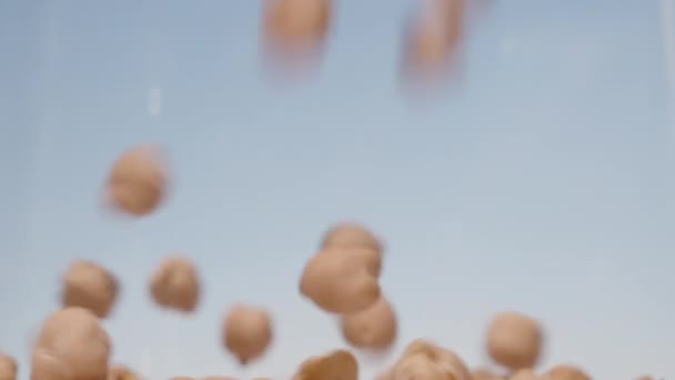 Cizrna Padá Modrou Oblohu Zaplňuje Celý Prostor Detailní Záběr Zpomalený — Stock video