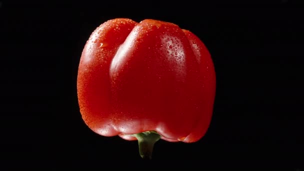 Inverted Red Sweet Bell Pepper Draait Een Zwarte Achtergrond Isolaat — Stockvideo