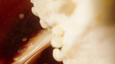 Dilimlenmiş dolma biber döner ve tohumlar düşer. Dolly kaydırıcı aşırı yakın çekim.