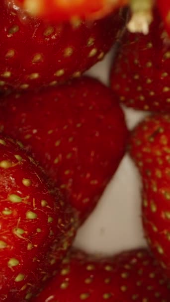 摄像机在一堆草莓里面 起来了在黑色背景上 垂直视频社交媒体 — 图库视频影像