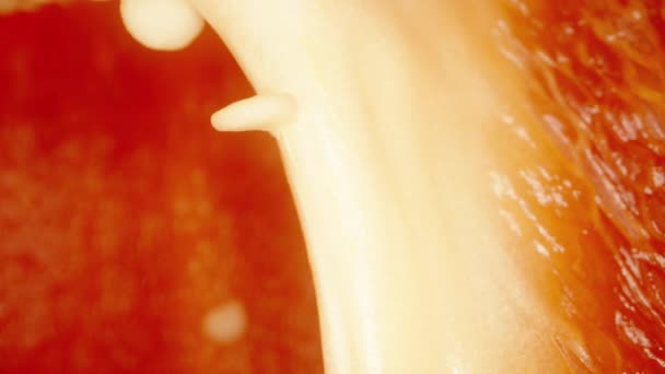 中の赤いベルペッパーの質感 白い種子 エクストリーム マクロ ドリー — ストック動画