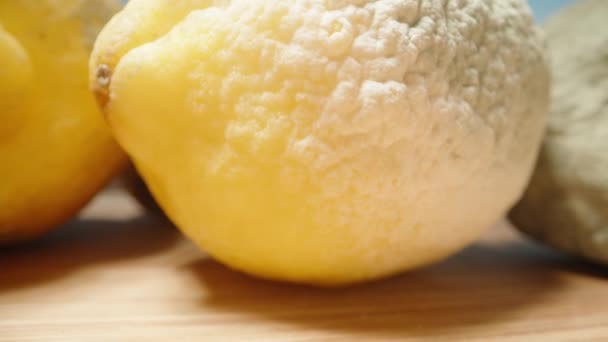 Lemons Mold Wooden Table Spoiled Fruit Summer Sunny Day Dolly — Stock Video