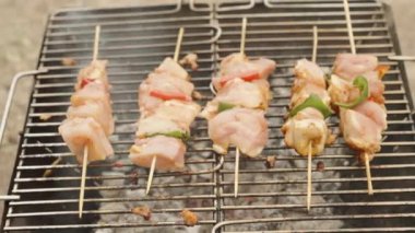 Izgarada ve kömürde ahşap şiş tavuk eti,