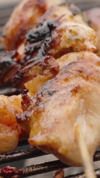 Hühnerfleisch Auf Holzspießen Wird Großaufnahme Auf Dem Grill Gegrillt Vertikales — Stockvideo
