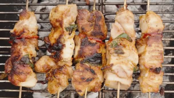 Daging Ayam Pada Stik Kayu Dimasak Atas Panggangan Dalam Jarak — Stok Video