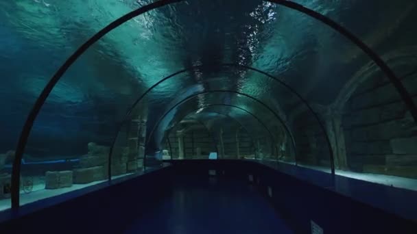 Maior Aquário Túneis Mundo Vista Interior Sem Pessoas — Vídeo de Stock