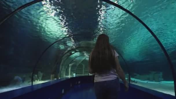 世界最大のトンネル水族館の中を一人で歩く若い女性 — ストック動画