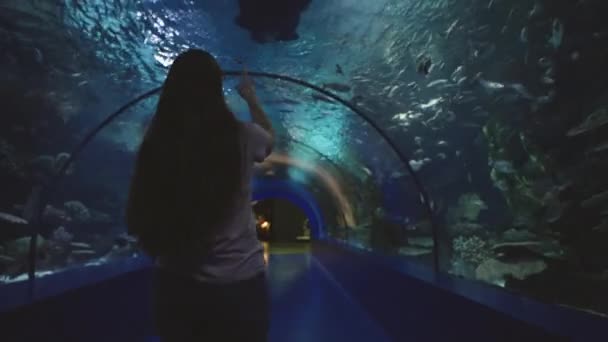 世界最大のトンネル水族館の中を一人で歩いている若い女性 中を泳いでいるスキューバダイバー — ストック動画