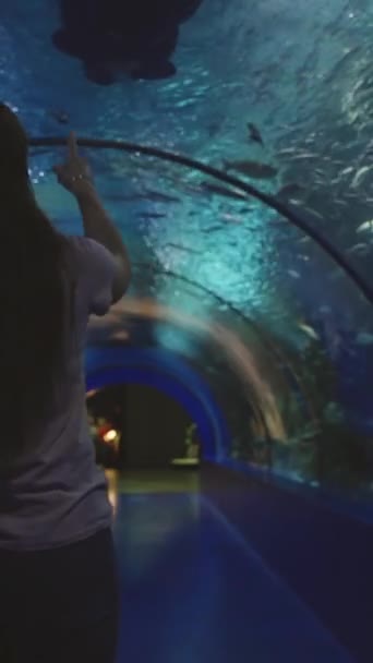 Genç Bir Kadın Dünyanın Büyük Tünel Akvaryumunda Tek Başına Yürüyor — Stok video