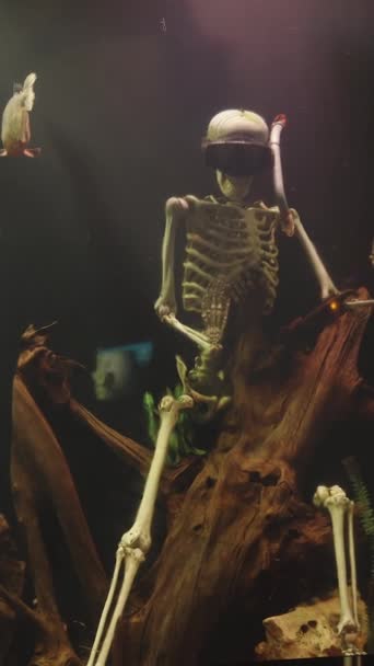 Κάθετα Ένα Τεράστιο Ενυδρείο Πιράνχας Σκελετός Ενός Άντρα Μάσκα Κολύμβησης — Αρχείο Βίντεο