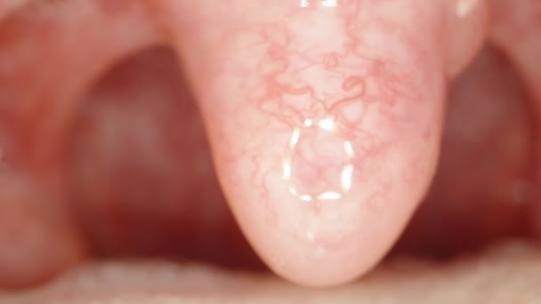 Adamın Ağzının Içinde Damarları Damarları Olan Bir Makro Dil Var — Stok video