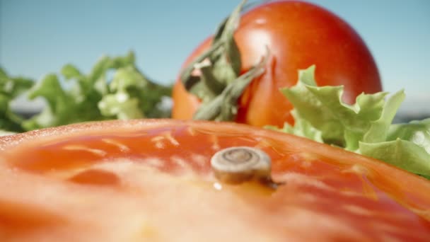 Tomates Hachées Feuilles Laitue Sur Fond Bleu Ciel Nous Nous — Video