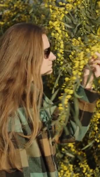 Ein Mädchen Mit Langen Haaren Einem Mimosa Baum Schnuppert Blumen — Stockvideo