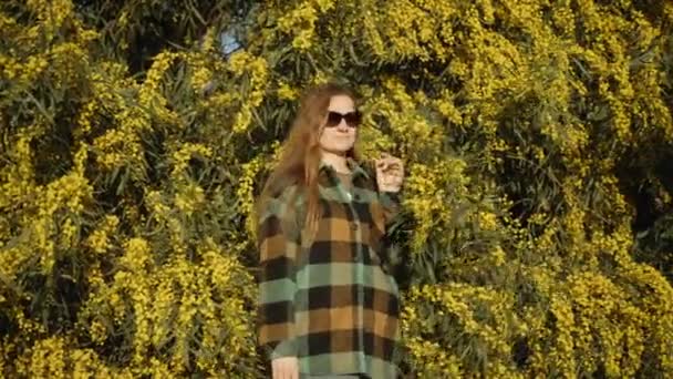 Young Woman Plaid Shirt Glasses Stands Acacia Pycnantha Flowers Sun — Stock Video