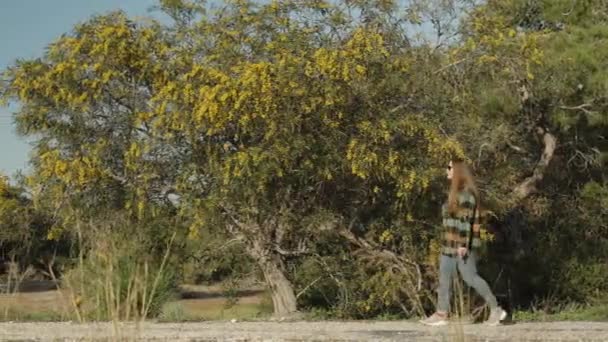 一个年轻的女人沿着大路走过一棵黄花相思树 侧视图 — 图库视频影像