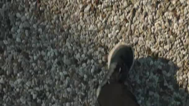 Kayalık Bir Yolda Spor Ayakkabılarla Yürüyorum Yukarıdan Ayaklarımın Manzarası Güneşli — Stok video