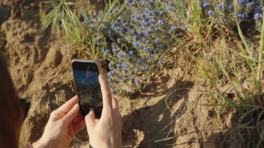Bir kadın telefonunda küçük mavi çiçeklerin fotoğraflarını çekiyor..