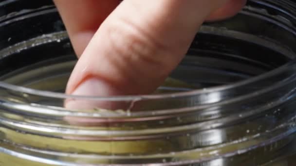 Close Take Out Pickle Jar Rotates Black Background — Stock Video