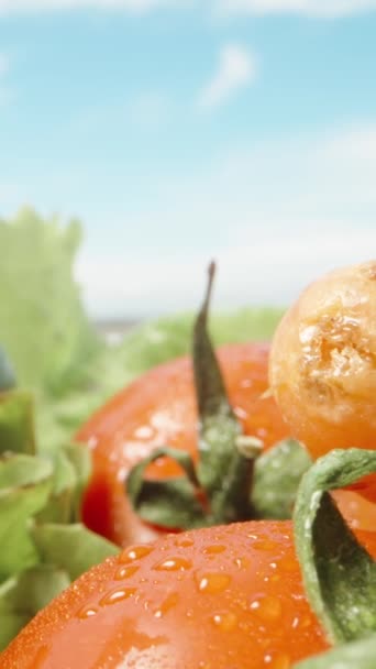 蓝色的天空下撒满了蔬菜 黄瓜和西红柿上的水滴 色拉和胡椒 多莉滑行极端特写 垂直录像 — 图库视频影像
