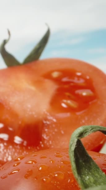 Verduras Mesa Cámara Desliza Entre Tomates Rodajas Pepinos Pimientos Macro — Vídeo de stock
