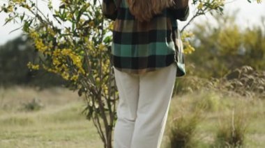Acacia pycnantha 'nın altın çiçekleriyle bir çalıya bakan genç bir kadının arka görüntüsü.