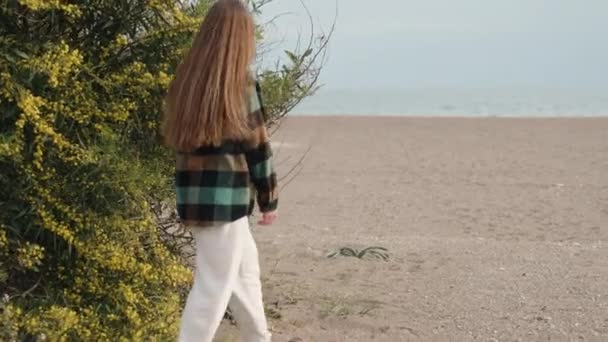 在海边的沙滩上 矗立着一丛孤寂的灌木 开着黄色的杜鹃花 一位年轻的女子触摸着它 — 图库视频影像