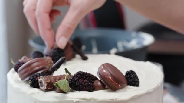 糕点师正在选择如何漂亮地放置一个桑树浆果来装饰蛋糕 — 图库视频影像